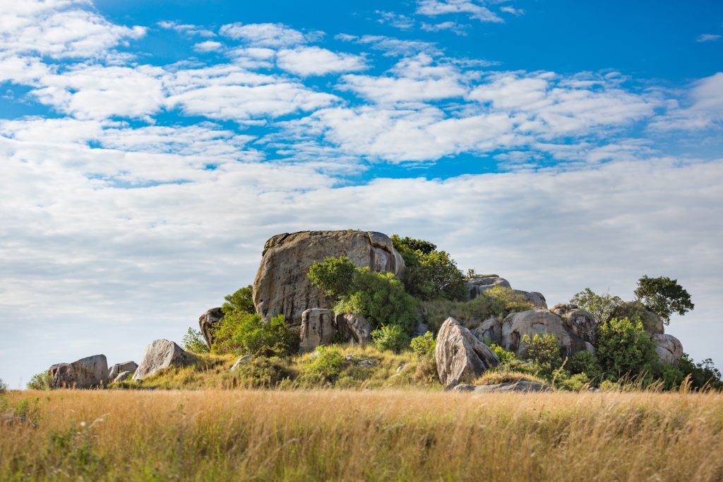 Beautiful view of Serengeti landscape under a cloudy sky